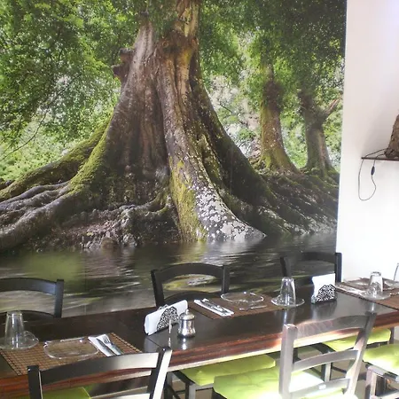 Bed & Breakfast Domus Cerri Fiumicino