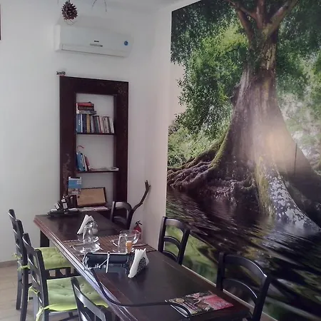 Domus Cerri Bed & Breakfast *